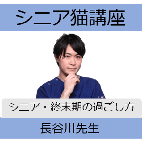 愛猫ちゃんの「健康寿命のためのシニアネコ」講座