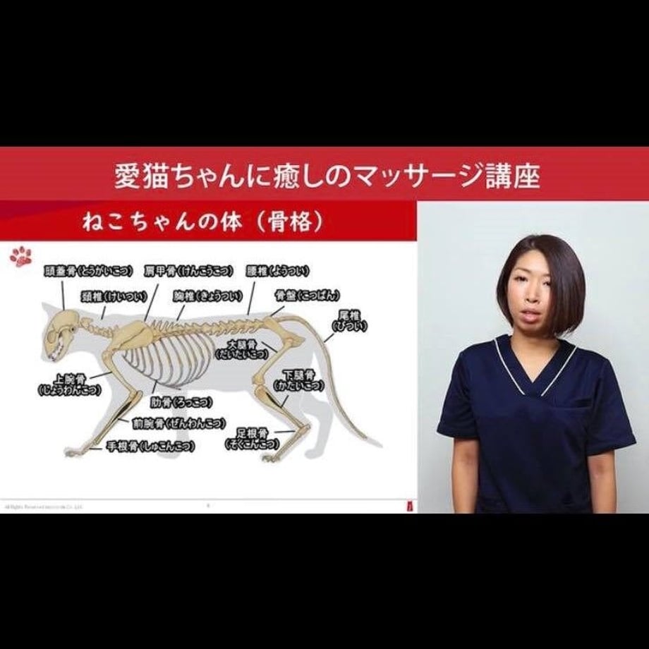 609e40659a5b755292c0042e