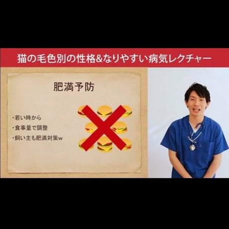 猫の「毛色別の性格＆なりやすい病気」講座