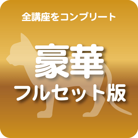 豪華フルセット版（全講座をコンプリート）