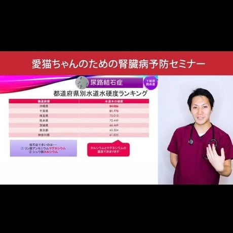 愛猫ちゃんの健康長寿のための「予防学」講座 【腎臓病編】