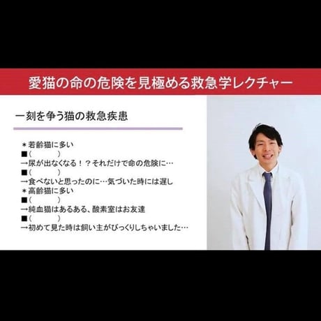 愛猫ちゃんの命の危険を見極めるための「救急学」講座