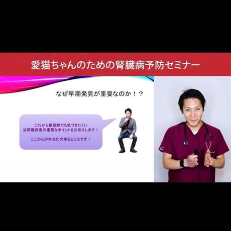 愛猫ちゃんの健康長寿のための「予防学」講座 【腎臓病編】