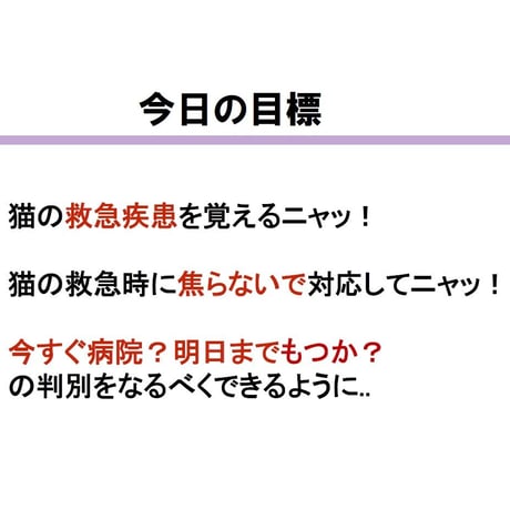 愛猫ちゃんの命の危険を見極めるための「救急学」講座