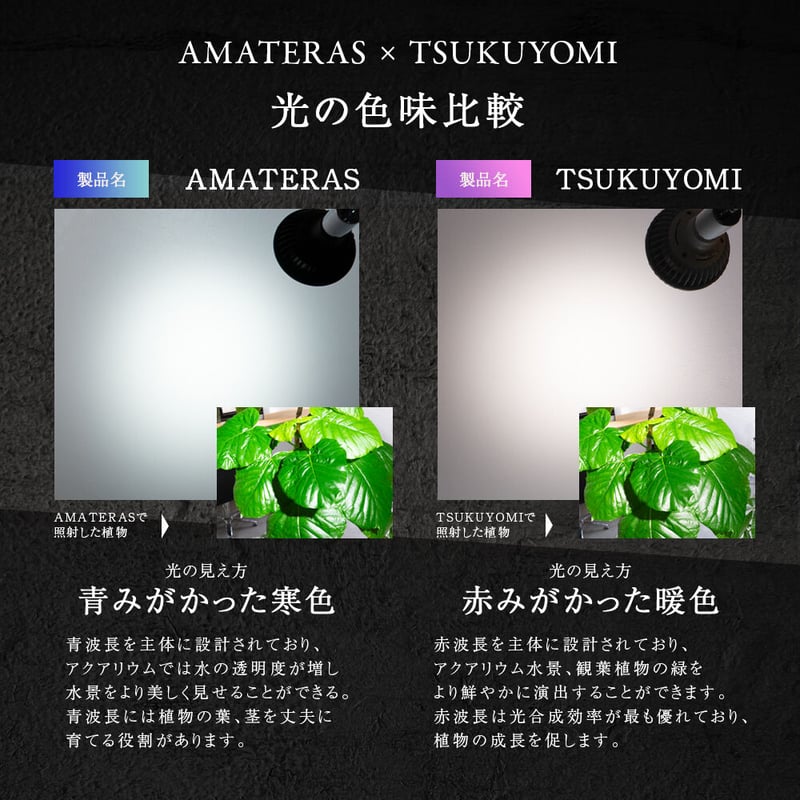 NEO AMATERAS LED 20W】植物育成LED 太陽光LED アクアリウムLED