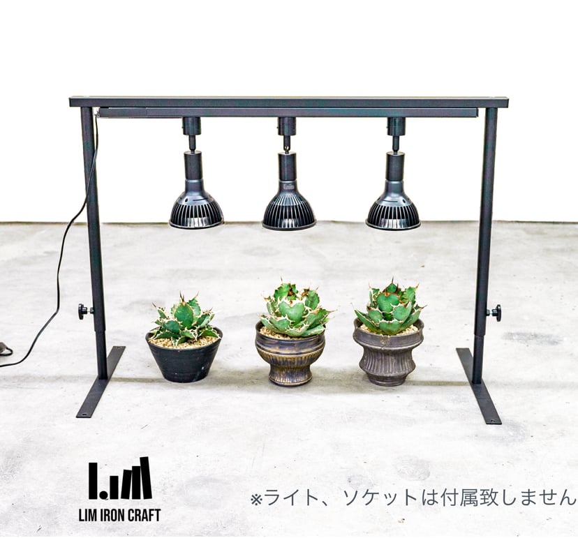 ☆送料込み☆ライトレールスタンド即購入OK 植物育成 アガベ 塊根 什器