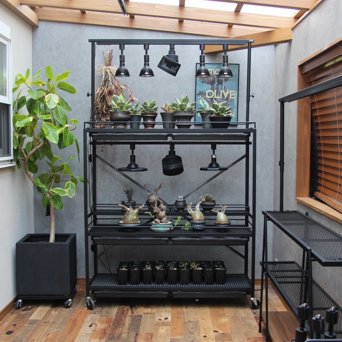 ニャオン様 植物棚オーダーページ 水受けトレーが取り付けらる植物棚 | Lim iron craft