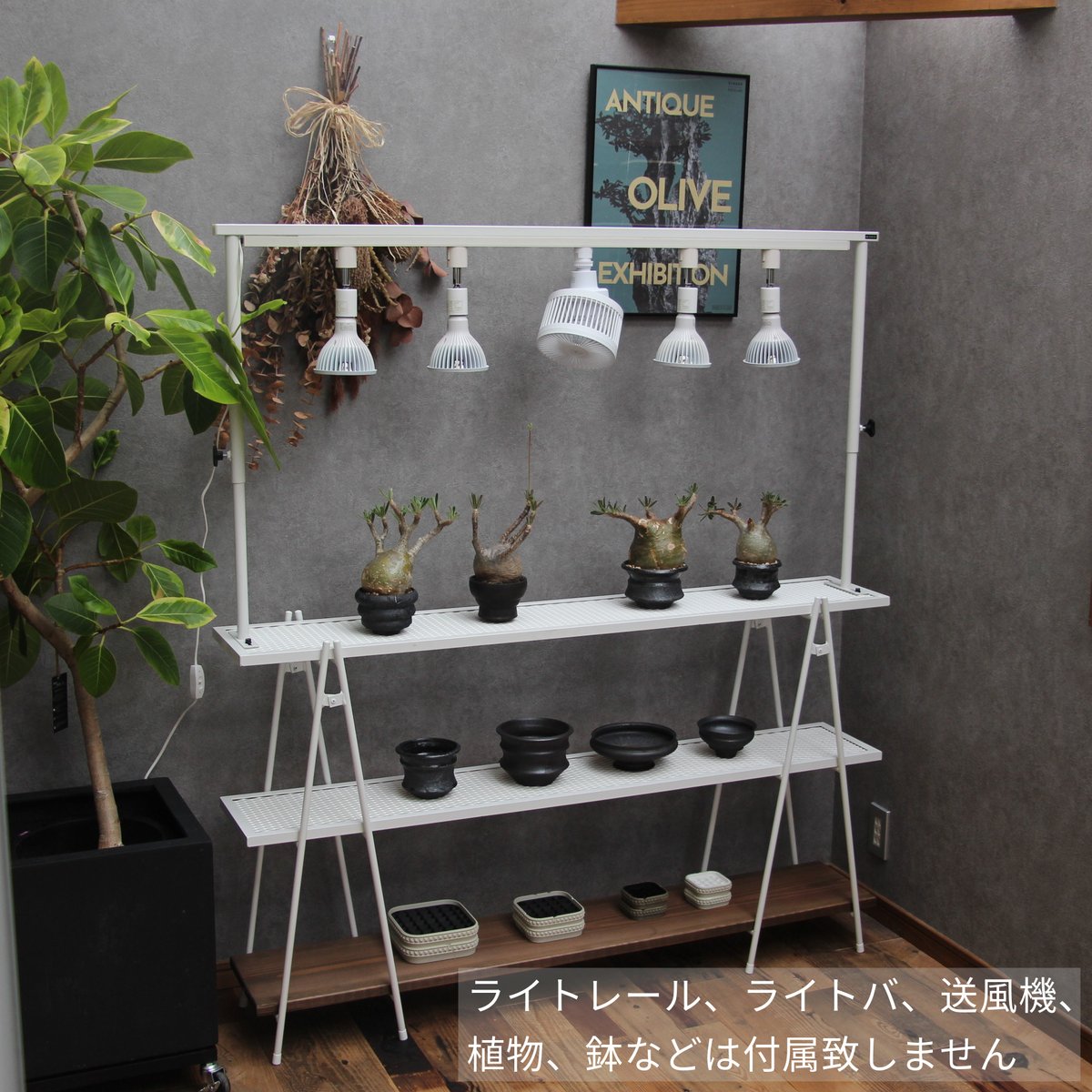 インポート・海外人気ブランド | アイアンシェルフ（L） Lim craft iron 棚・シェルフ・ラック