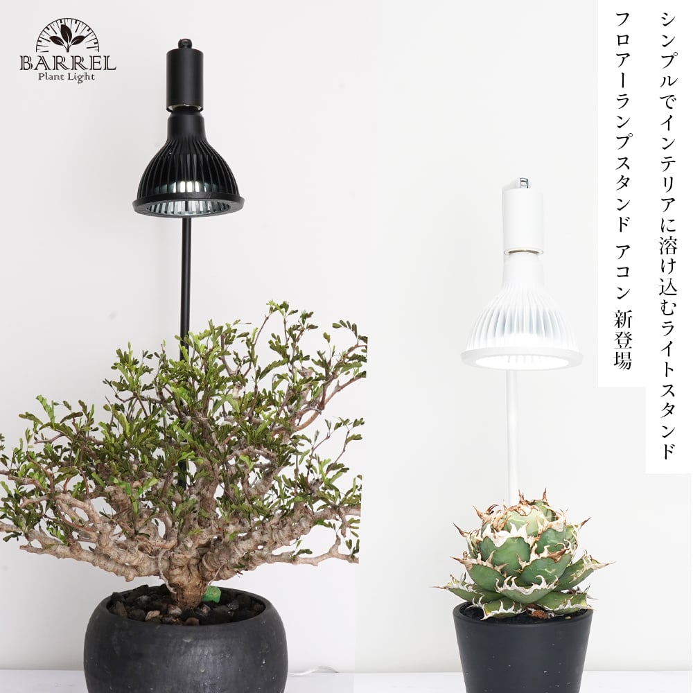 観葉植物　フロアーランプスタンド フロアーランプスタンド アコン ブラック ホワイト 植物育成