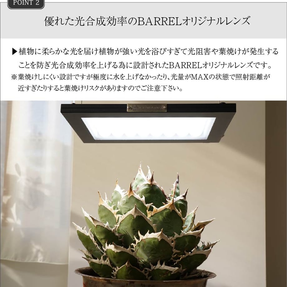 6576fdd5d50198005168eb5f