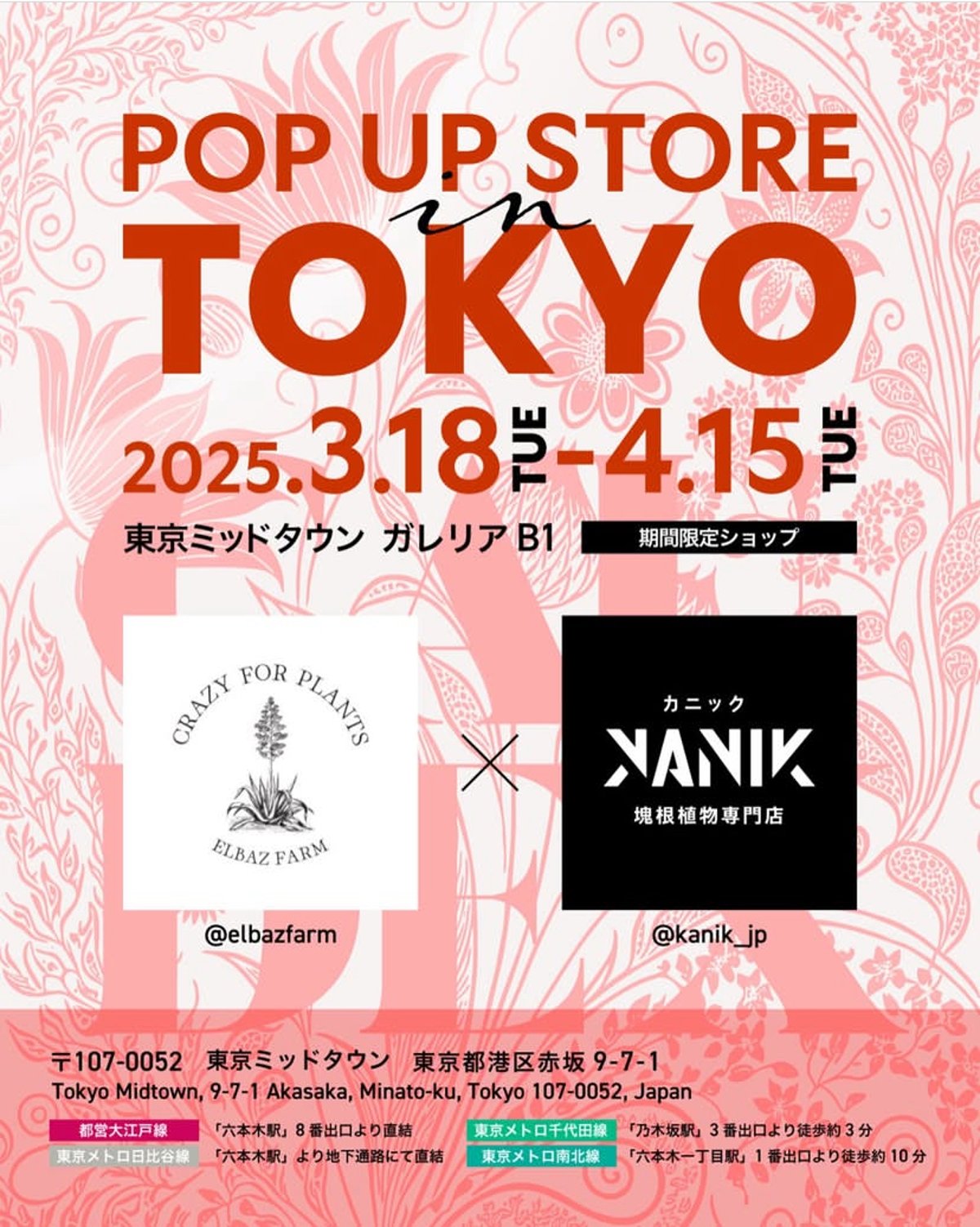 東京暮色台本 楽天市場】【スーパーSALE先行戦☆クーポン配布中】 京セラ