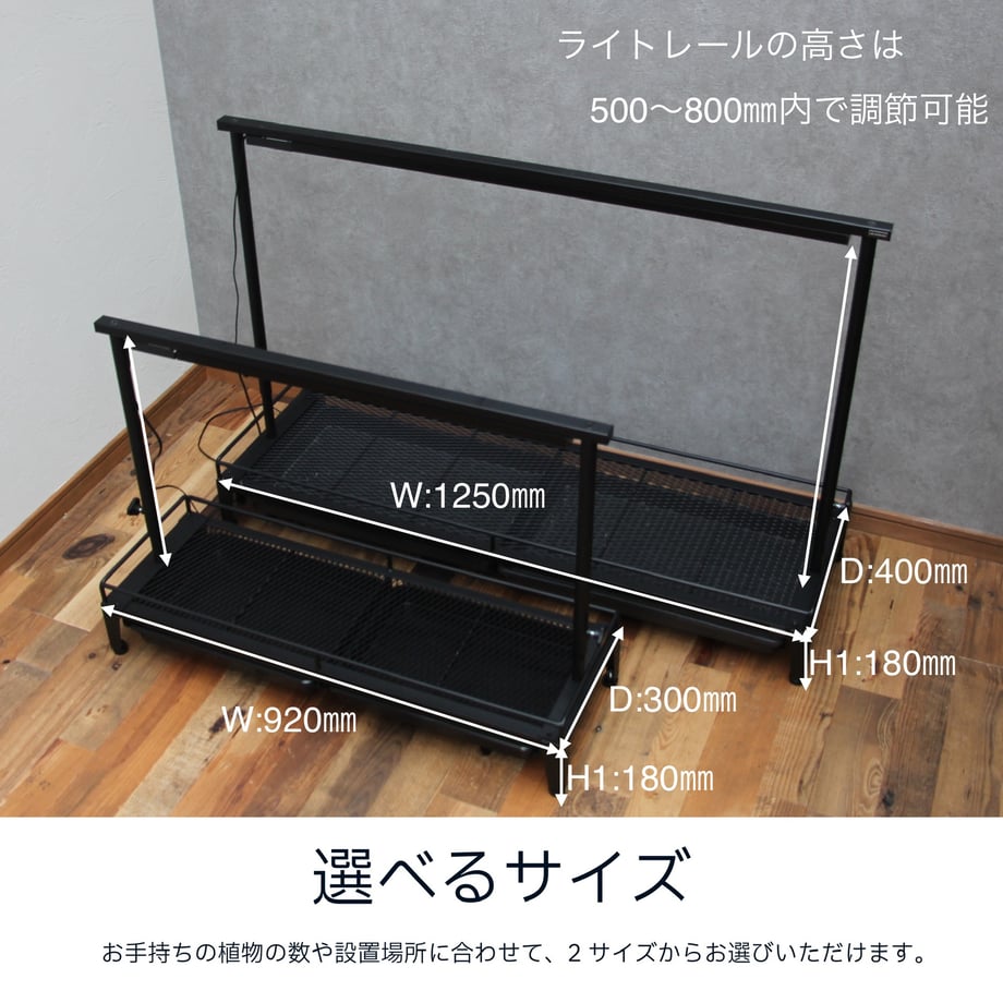 668a52a709d630016be6b95e