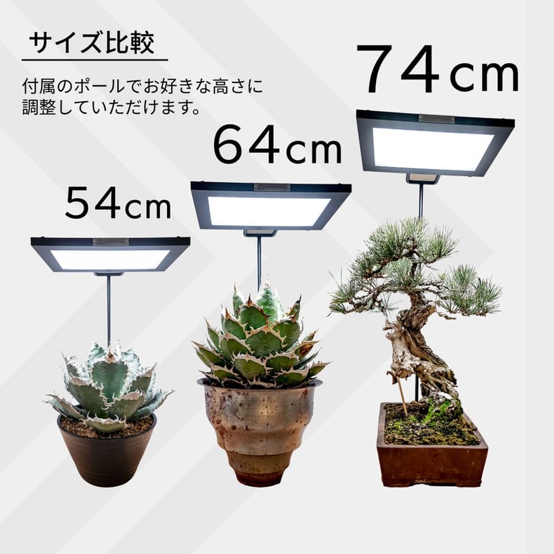 ライトスタンドx3 その他 THEシンプルスタンド×3 【フィギュア＆模型用】〈HEX〉タイプ