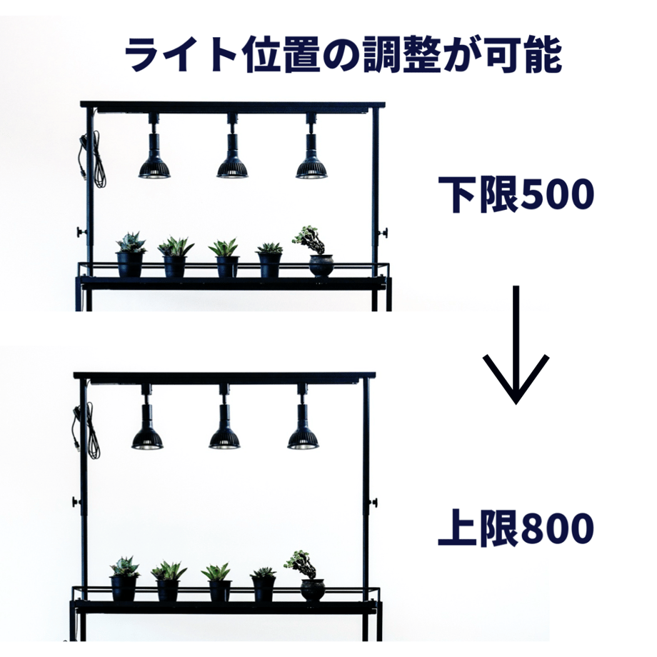 668a52a709d630016be6b95e