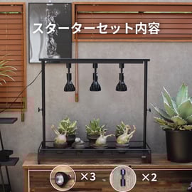 アガベ　塊根植物　育成セット 楽天市場】【マラソンSALE】【送料無料】アガベ 栽培セット GD