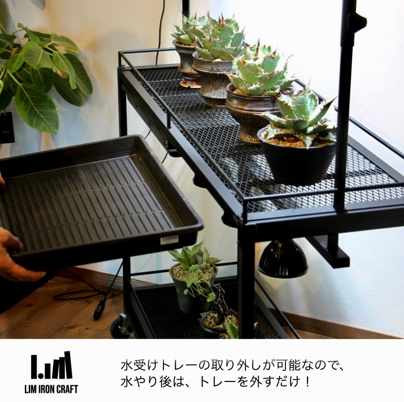 男前インテリア植物育成棚多肉植物ラック棚耐水性あり1002