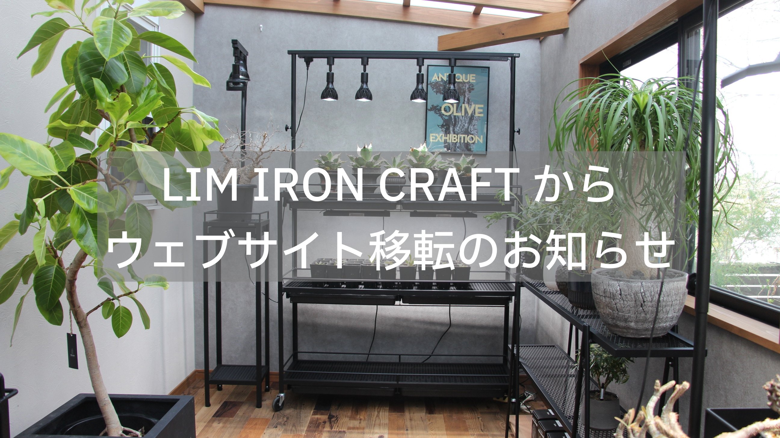 ⭐︎⭐︎中ちゃん出品⭐︎⭐︎ アイアンラック 3段　水受けトレイ トレイ付 アイアン植物棚 水受けトレー付き ライティングレール付き