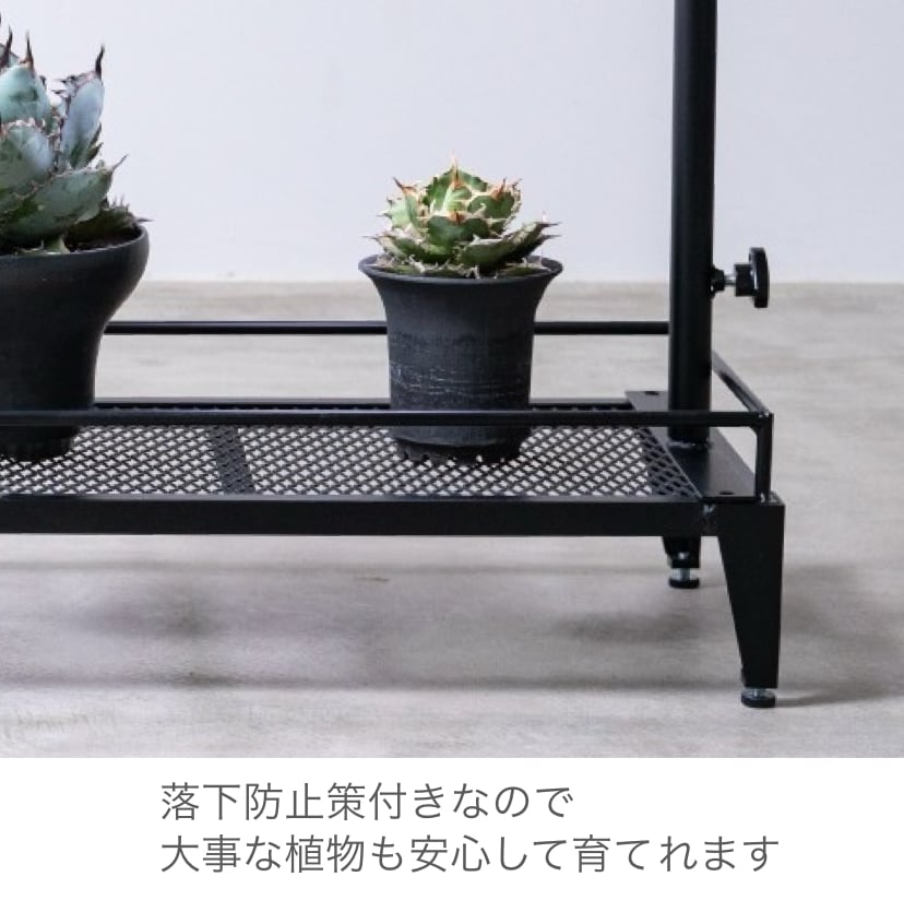 ダクトレール付 植物棚 ボタニカルシェルフ 塊根植物 多肉植物 アガベ ...