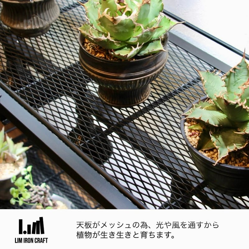 水受けトレー付きハイスペック植物棚 | Lim iron craft 水受けトレー付きハイスペック植物棚 | Lim iron craft