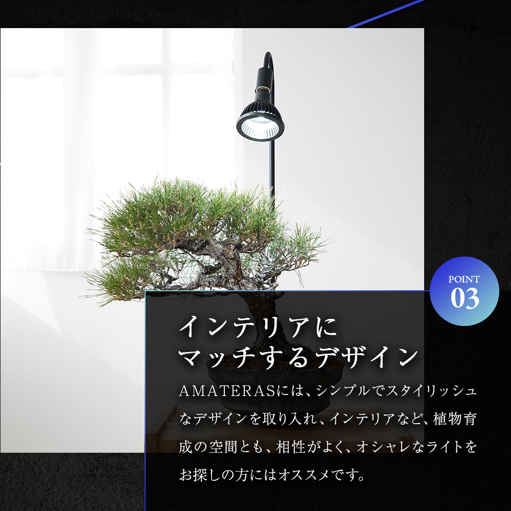 楽天市場】【3年保証】BARREL公式 植物育成LEDライト【AMATERAS