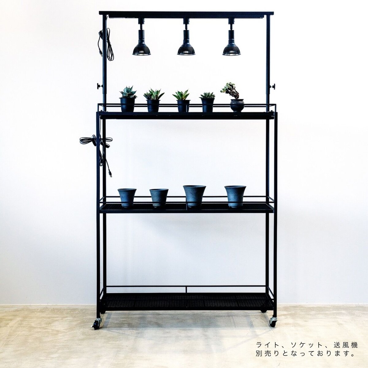 ニャオン様 植物棚オーダーページ ニャオン様 植物棚オーダーページ