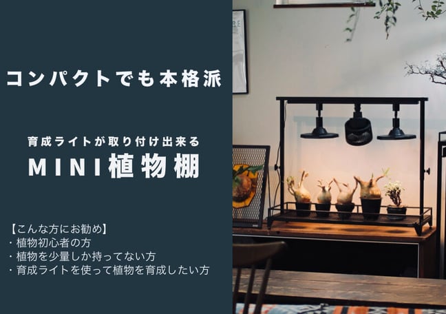 Lim iron craft Lim iron craft
