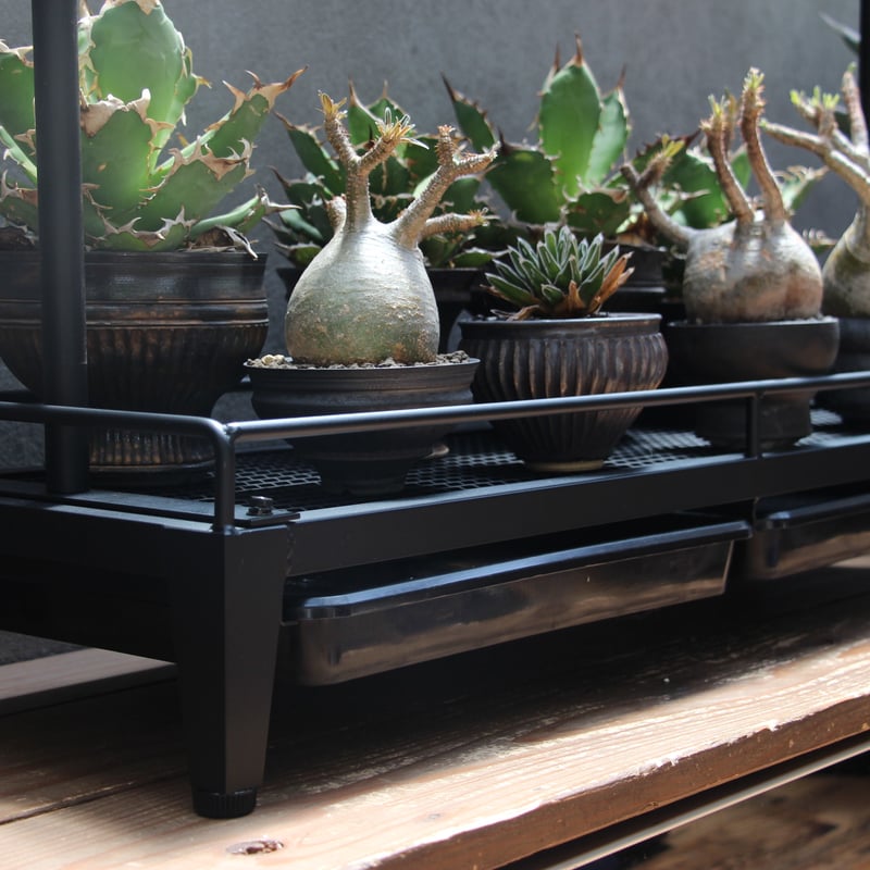 1段植物棚（920×300）スターターセット | Lim iron craft