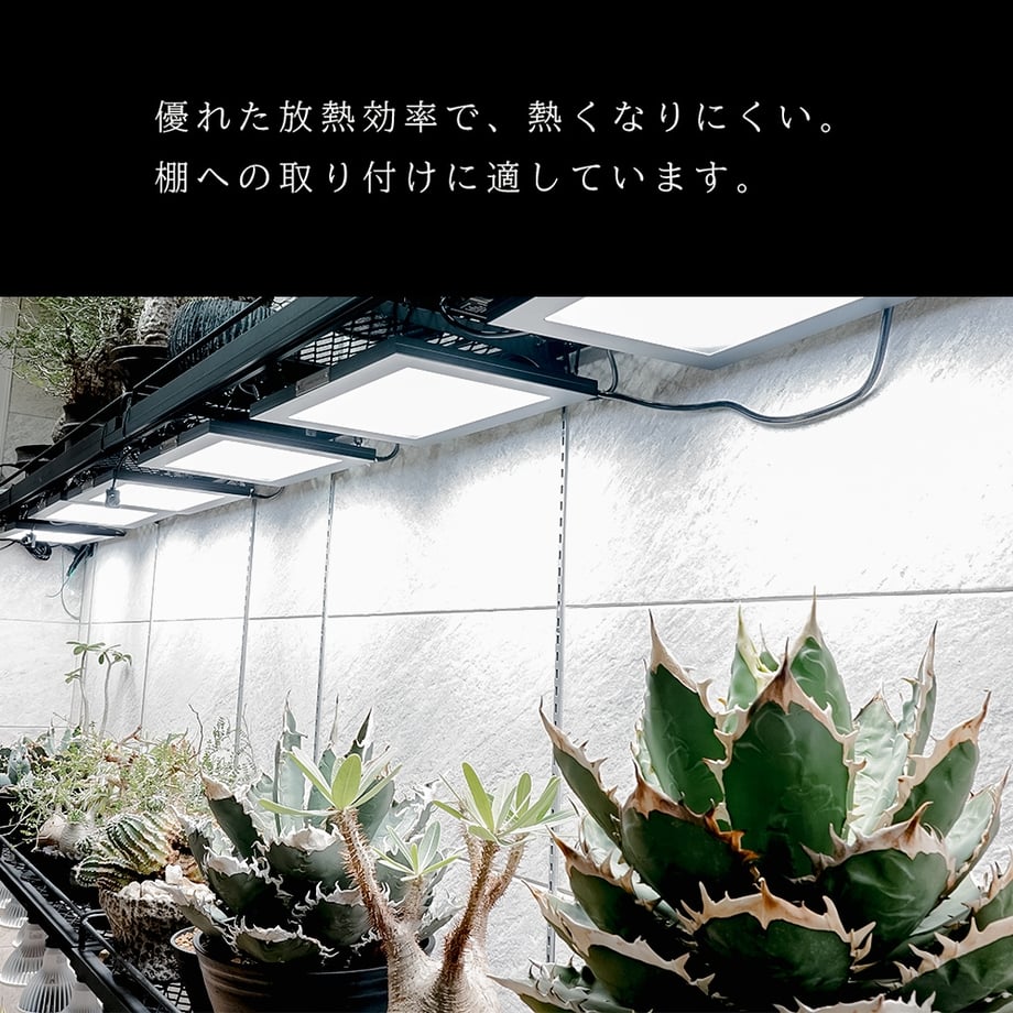 6576fdd5d50198005168eb5f