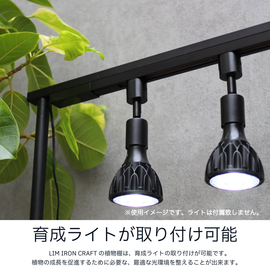 668a52a709d630016be6b95e