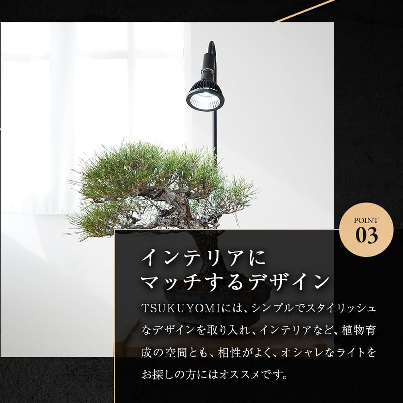 NEO TSUKUYOMI LED 20W BLACK EDITION | Lim iron 