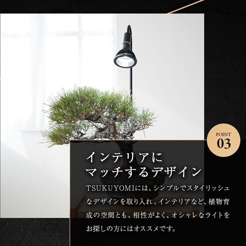 美品激安通販】 TSUKUYOMI LED 20W BLACK 2個セット ツクヨミ - ライト