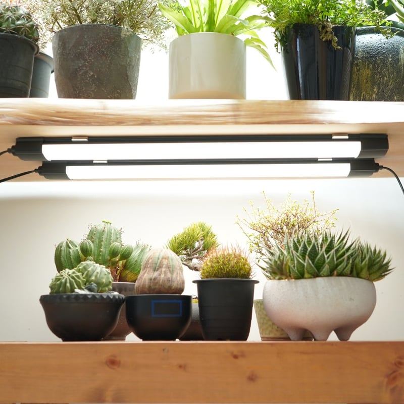 SHELF GROW SLIM】植物育成ライト LED 薄型スリム 室内育成用 SHELF GROW SLIM】植物育成ライト LED 薄型スリム 室内育成用