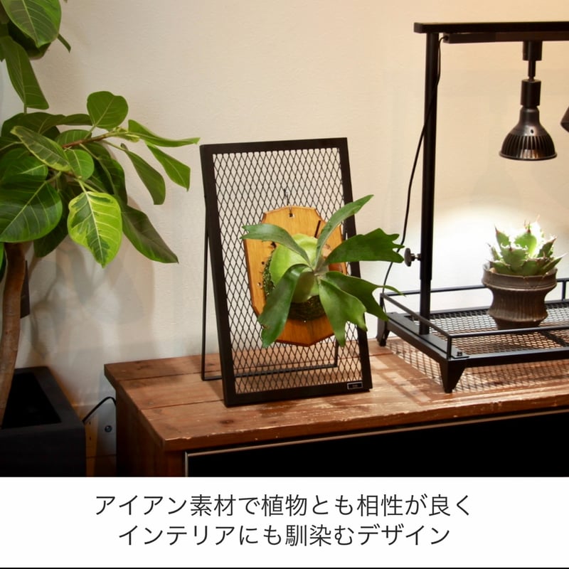 PLANT STAND | Lim iron craft