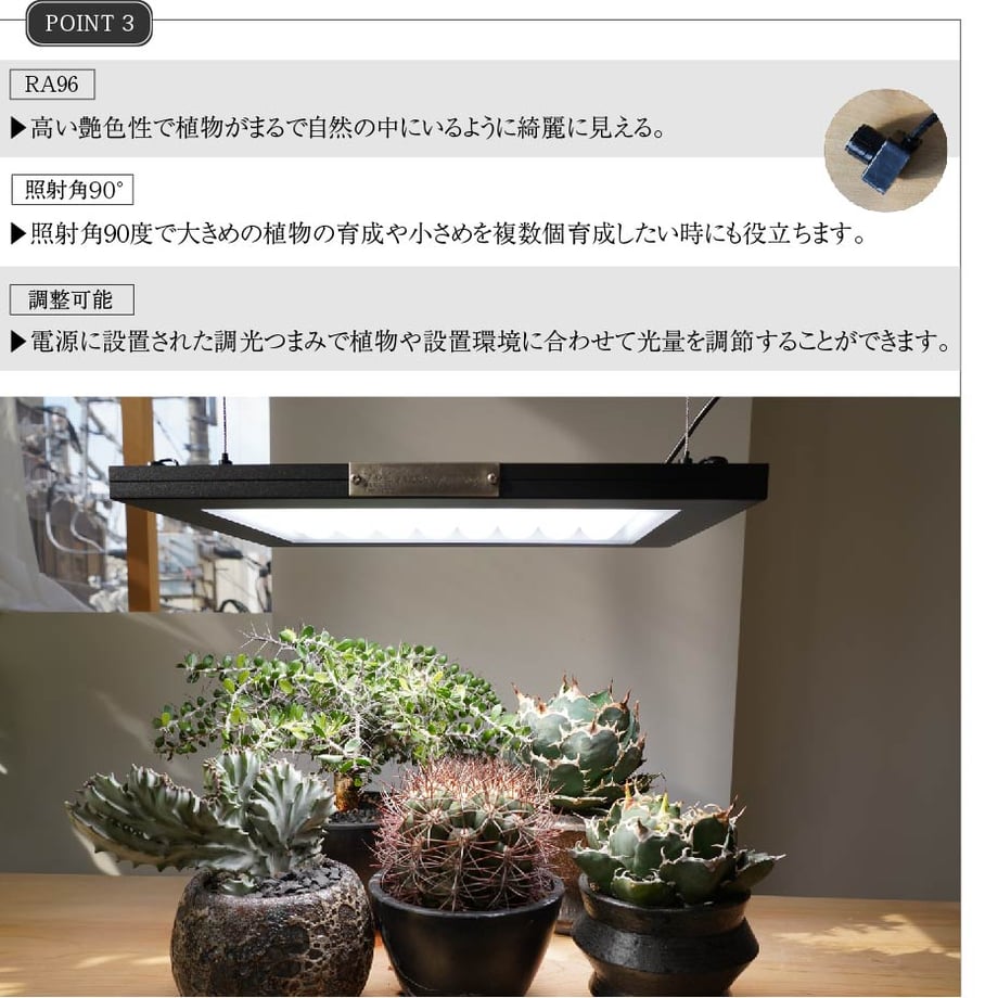 6576fdd5d50198005168eb5f