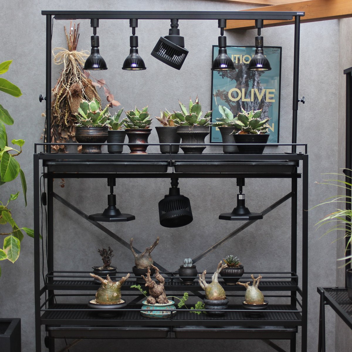ニャオン様 植物棚オーダーページ ニャオン様 植物棚オーダーページ フルオーダー植物棚（ダクト
