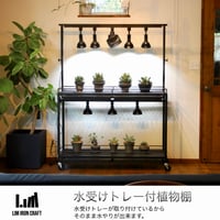 ニャオン様 植物棚オーダーページ ニャオン様 植物棚オーダーページ PS-07 ライトレール付 植物棚