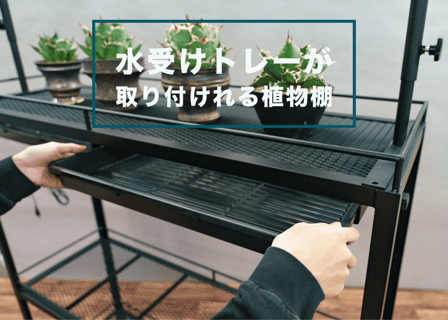 水受けトレーが取り付けらる植物棚 | Lim iron craft 水受けトレーが取り付けらる植物棚 | Lim iron craft