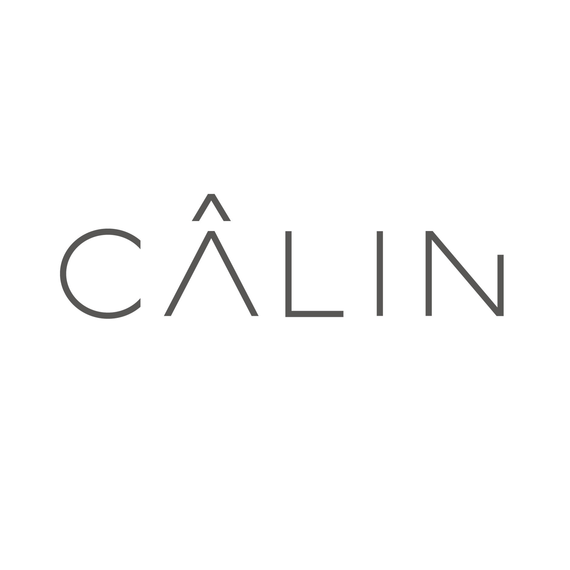  CÂLIN WEB STORE