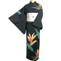 撫松庵　セオα 着てみてわかる　付下げ風　ストレリチア