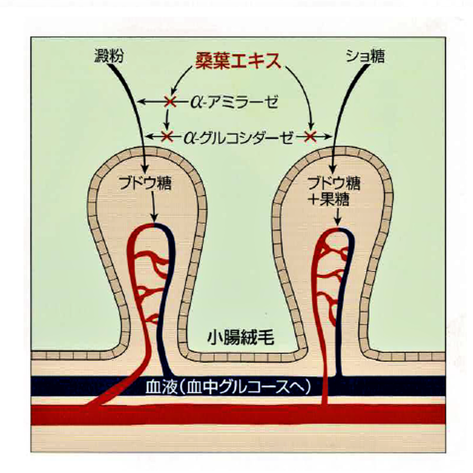 61caab1c0446094f2a596274