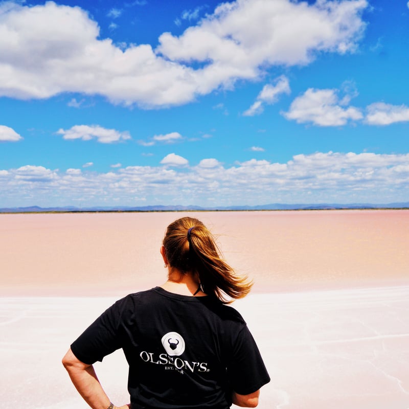 オルソンズ シーソルトフレーク 250g 陶器（Fuji trading） | Japanes