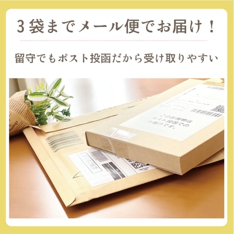 9種類のスーパーフードのみで作った植物性プロテイン「ベジプロ」（ミライプラス）