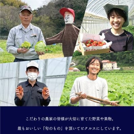 ピクルス３本セット（やまあいピクルス）