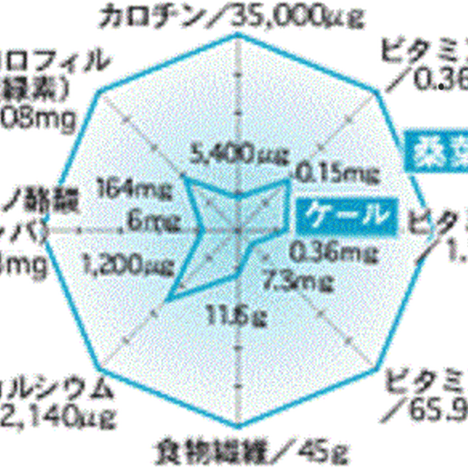61caab1c0446094f2a596274