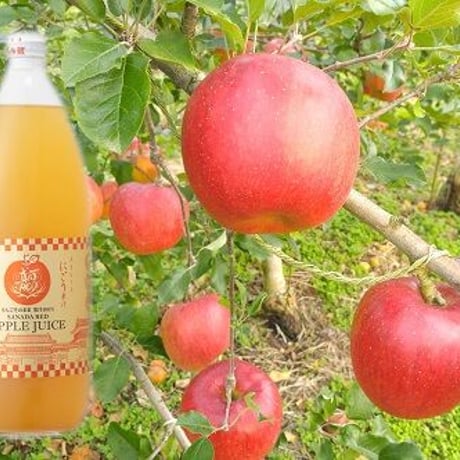 真田REDアップルジュース（プレミアム）1000ml×2本　ギフトセット（まちづくり上田）