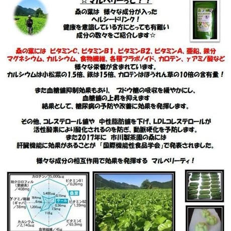 オーガニックマルベリーティ1gパック（Trail Company）