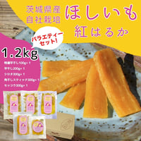 山田のややこ-おいものこ- バラエティーセット1.2kg（ゆうゆう農園）