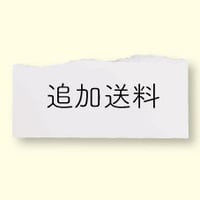 追加送料
