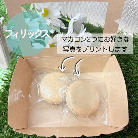 プリントマカロン＆ドリンクチケット(フィリックス カップホルダー )