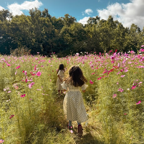 Fiore -double frill dress- ブルーポピー